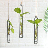 Creative Wall Hanging Flower Vase Iron Glass Hydroponics Planter Pot Transparent Hanging Flower Bottle Home
