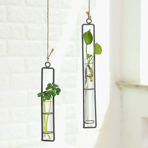 Creative Wall Hanging Flower Vase Iron Glass Hydroponics Planter Pot Transparent Hanging Flower Bottle Home