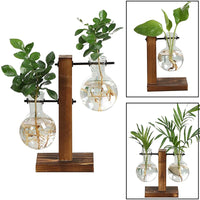 NEW HYDROPONICS CLARITY GLASS PLANT POT