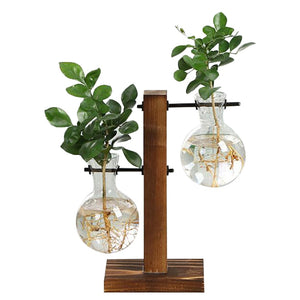 NEW HYDROPONICS CLARITY GLASS PLANT POT