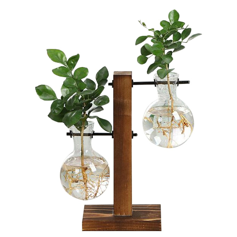 NEW HYDROPONICS CLARITY GLASS PLANT POT