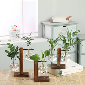NEW HYDROPONICS CLARITY GLASS PLANT POT