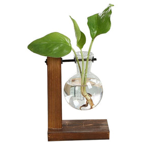 NEW HYDROPONICS CLARITY GLASS PLANT POT
