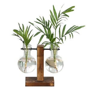NEW HYDROPONICS CLARITY GLASS PLANT POT